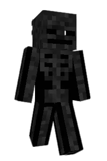rooster_007 Minecraft avatar full body