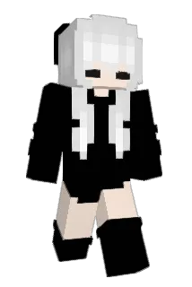 rooynner Minecraft avatar full body