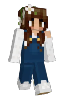 rordiggity Minecraft avatar full body