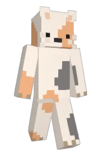 roskel1985 Minecraft avatar full body