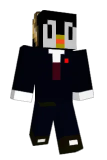 rouxi48 Minecraft avatar full body
