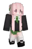 rouy Minecraft avatar full body