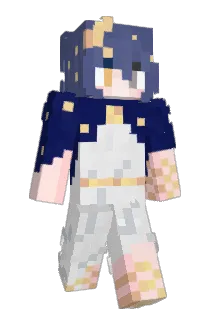 row_nn Minecraft avatar full body