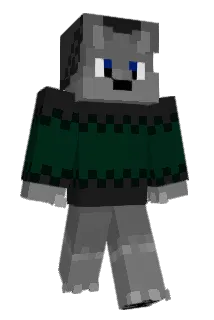 rower_XD Minecraft avatar full body