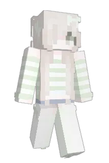 roxbotters Minecraft avatar full body