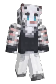 roy0317 Minecraft avatar full body