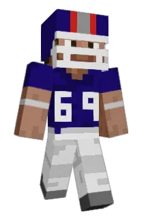 roysgamer Minecraft avatar full body