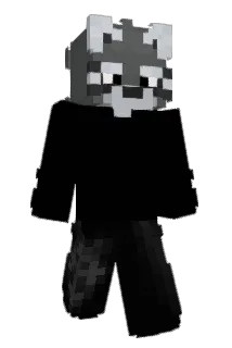 rpjnine Minecraft avatar full body