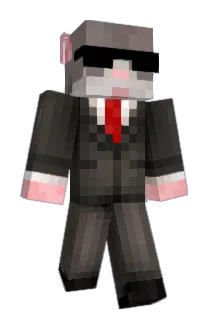 rqtman Minecraft avatar full body