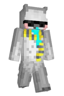 rr996tty Minecraft avatar full body