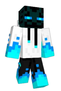 rriscool Minecraft avatar full body