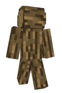 rroberr Minecraft avatar full body