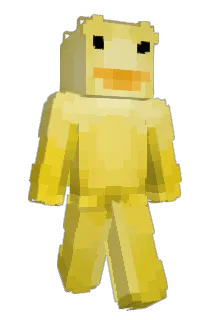 rrokusix Minecraft avatar full body