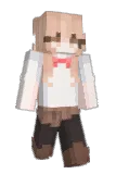 rrrv Minecraft avatar full body