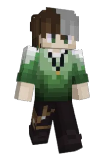 rryo Minecraft avatar full body