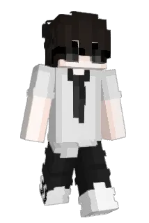 rsHoki Minecraft avatar full body