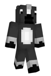 rshaw266 Minecraft avatar full body