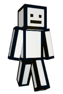 rsj317 Minecraft avatar full body