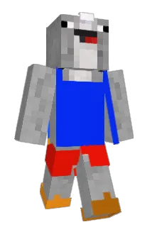 ruan287 Minecraft avatar full body