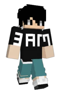 ruannzzgb Minecraft avatar full body