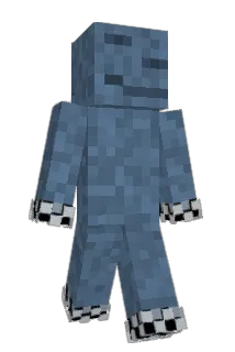 rug__ Minecraft avatar full body