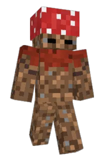 run14 Minecraft avatar full body