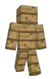 runn Minecraft avatar full body