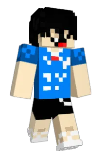 rwcw Minecraft avatar full body