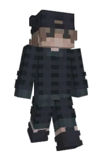 rwqse Minecraft avatar full body