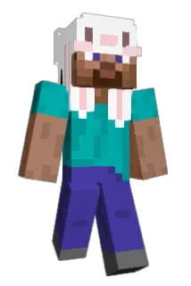 rwxv Minecraft avatar full body