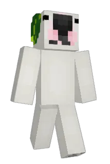 ryandecristoforo Minecraft avatar full body