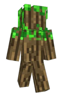 ryanrooster Minecraft avatar full body