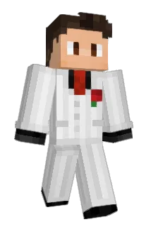 ryanverycool Minecraft avatar full body