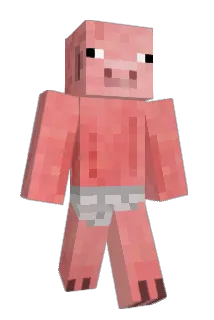 ryguyfly Minecraft avatar full body