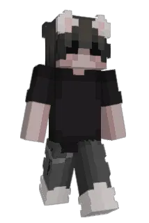 ryjcbb Minecraft avatar full body