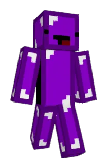 rykl1 Minecraft avatar full body