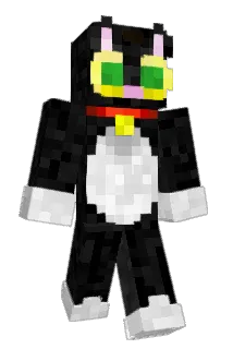 rykr14 Minecraft avatar full body