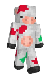 rylub Minecraft avatar full body