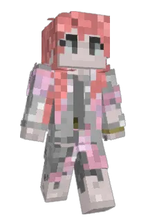 rynsomnia Minecraft avatar full body