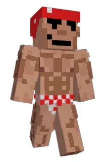 ryvaal Minecraft avatar full body