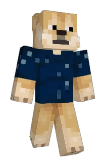 s383 Minecraft avatar full body