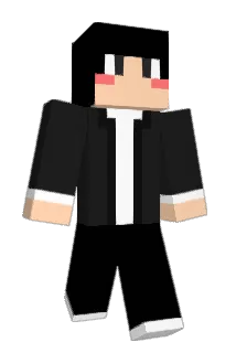 s9735 Minecraft avatar full body