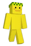 s9icc Minecraft avatar full body