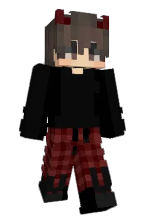 sANKLES Minecraft avatar full body