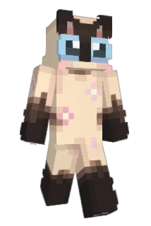 sDaiii Minecraft avatar full body