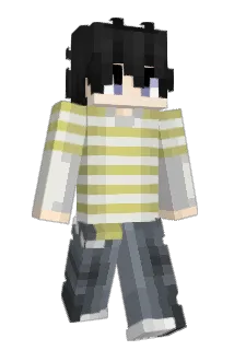 sWhyDam Minecraft avatar full body