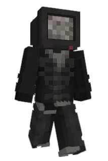 sa1d3n Minecraft avatar full body