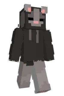 sab333 Minecraft avatar full body