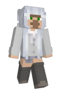 saf444 Minecraft avatar full body