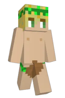 sagemastrr Minecraft avatar full body